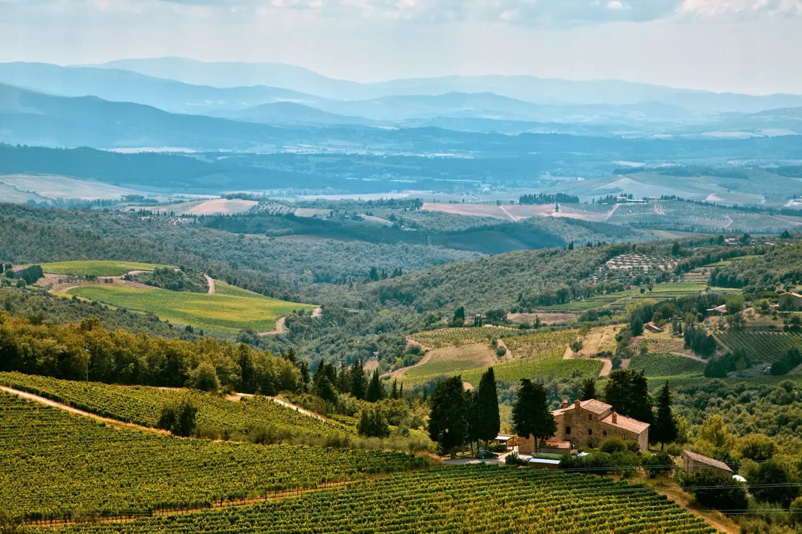 Chianti - Glimpse 3
